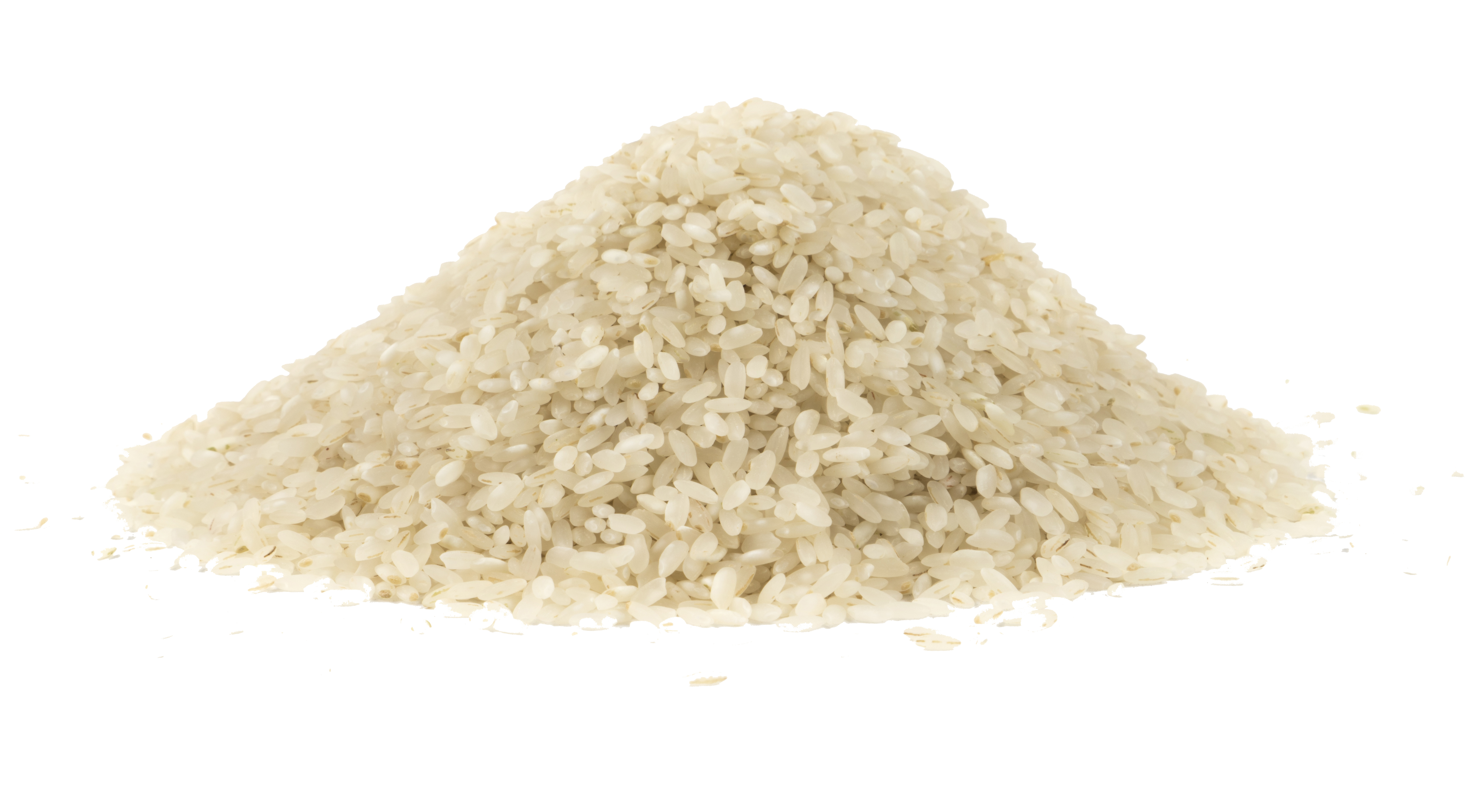 https://www.waynesborotasteofindia.com